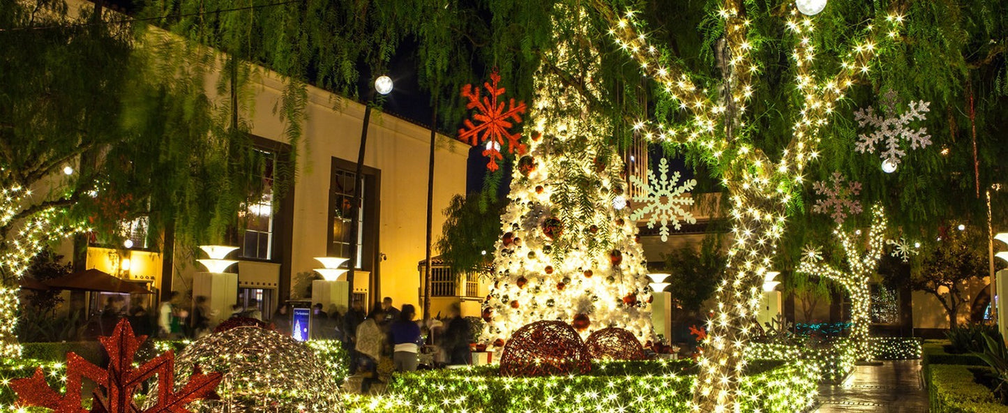 Luces LED Decorativas para Navidad, Bodas y Fiestas al Aire Libre